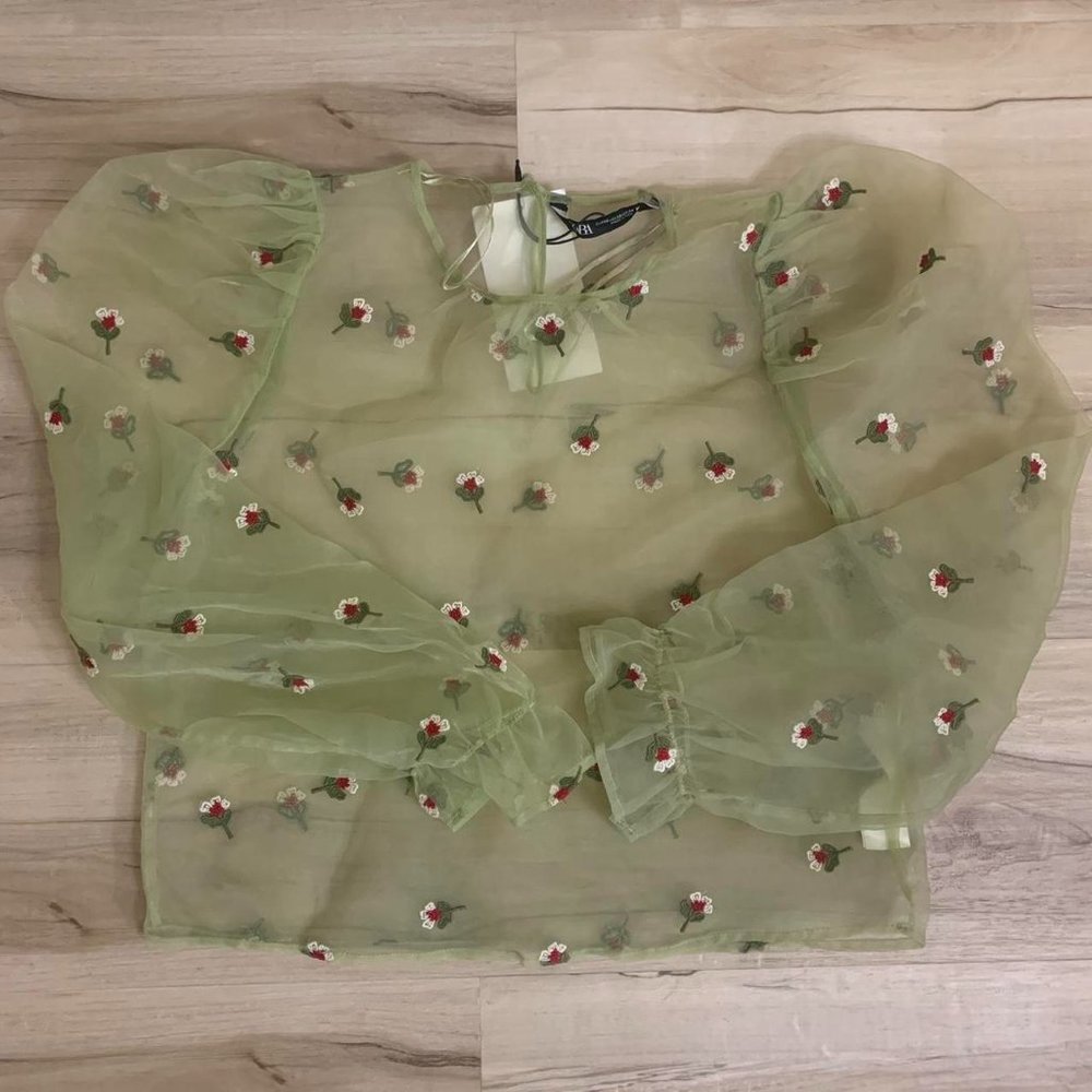 Zara Sheer Shirt Nwt